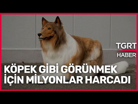 Allah neden bu kadar merhametsiz?