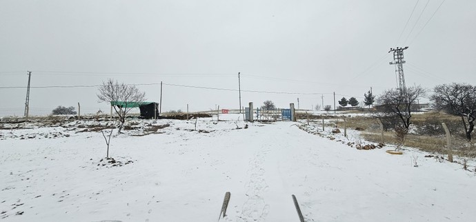 Kar topu oynamak isteyen var mı?