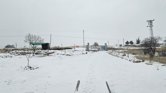 Kar topu oynamak isteyen var mı?