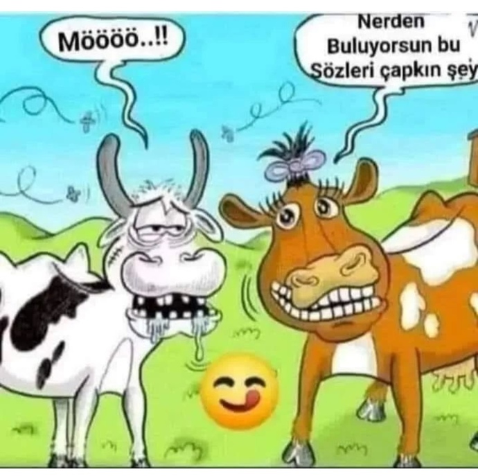 Karşı cinsi etkilerken ağzınız iyi laf yaparmı?