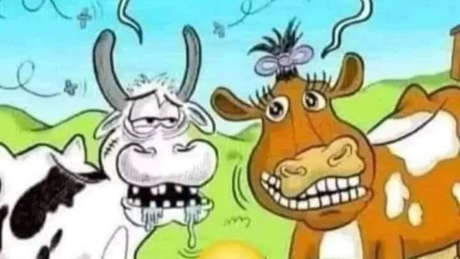 Karşı cinsi etkilerken ağzınız iyi laf yaparmı?