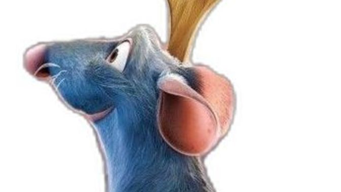 Size yemek yapıcak olsam ne yapardım söyleyeyim mii?