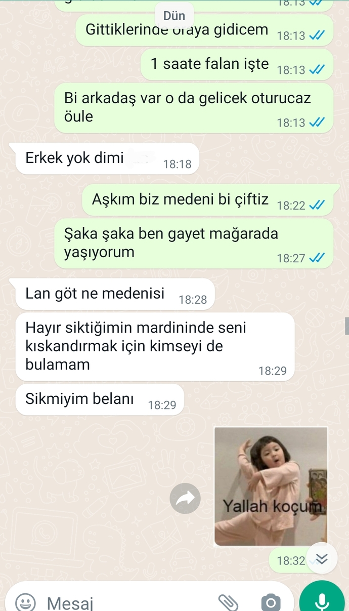 Sevgilimin sizce şiddet eğilimi var mıdır?