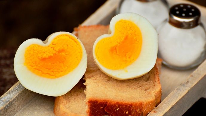 Haşlanmış yumurta mı yapsam yoksa bol peynirli bir omlet mi? Koşun koşun yumurta tariflerinizle gelin?