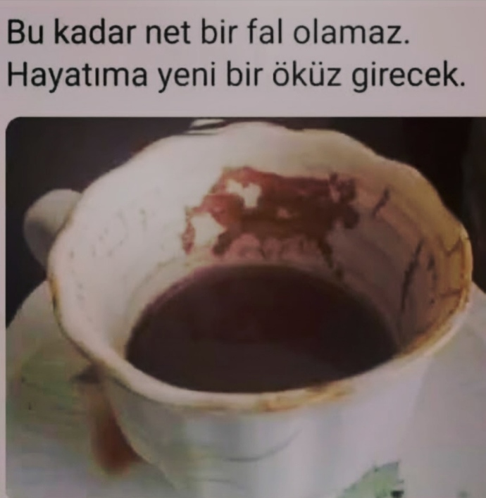 Fallara inanır mısınız?