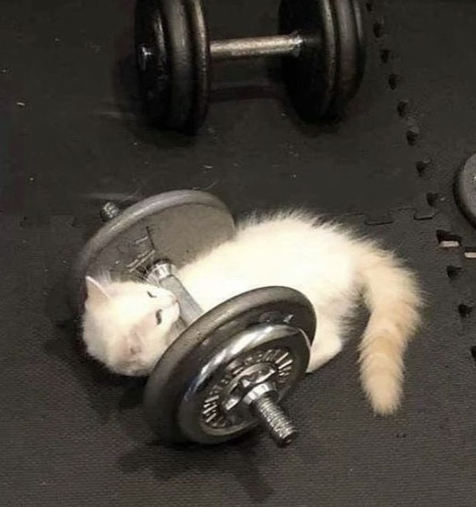 Sporu tek yapmayı seversiniz yoksa partner ile mi?
