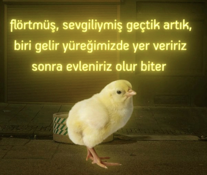 Artık hayırlı kısmetim gelsin aşk mesk defterlerini kapadım diyormusunuz sizde?