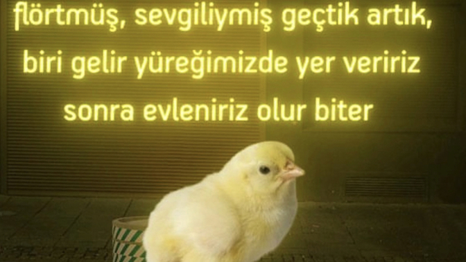 Artık hayırlı kısmetim gelsin aşk mesk defterlerini kapadım diyormusunuz sizde?