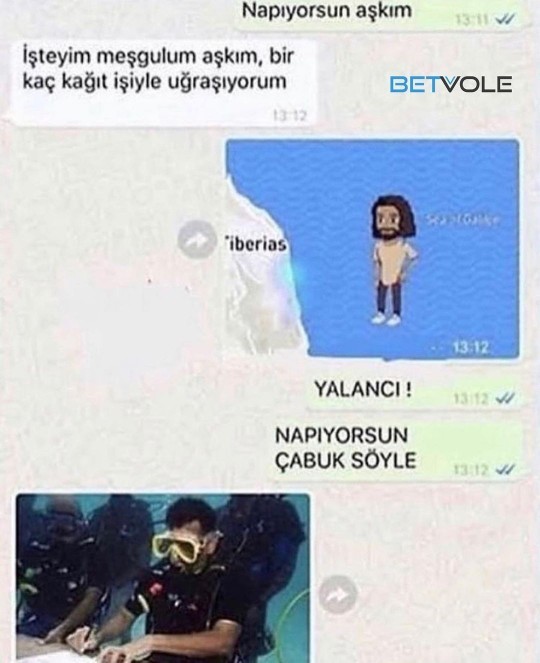 Genel olarak sevilen biri misinizz?
