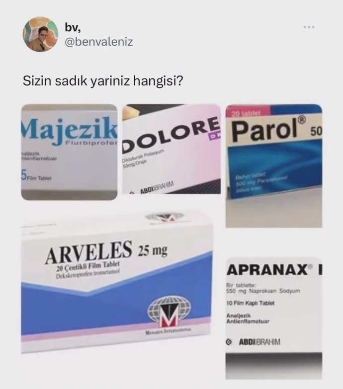 Sizin sadık yariniz hangisi?