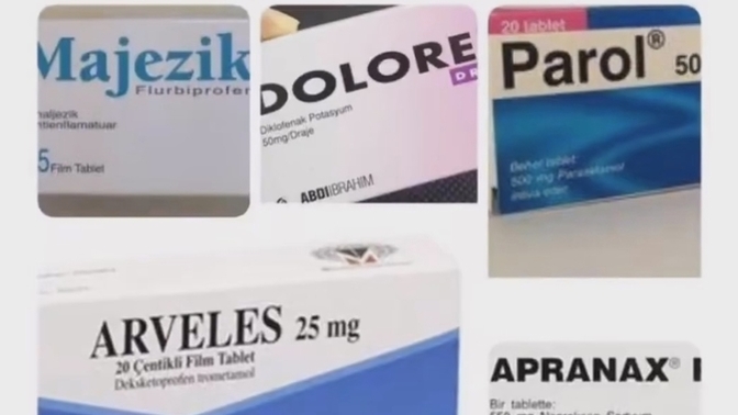 Sizin sadık yariniz hangisi?