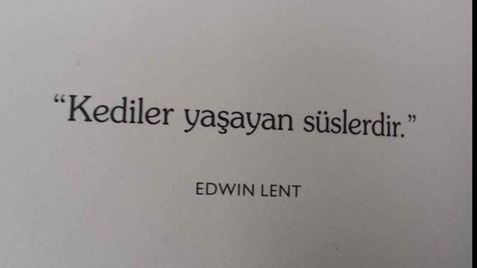 Size göre yaşayan süs veya güzellik diye nitelendirebileceğiniz neler veya kim var?