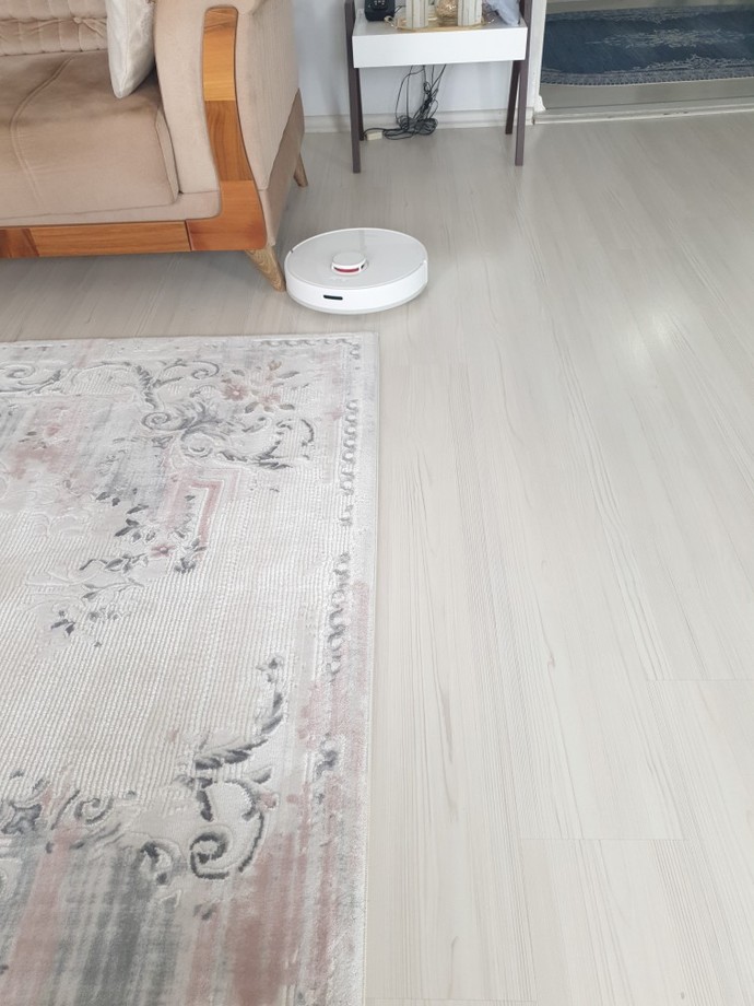 Pazar gününüzü ev temizliğine ayırır mısınız?