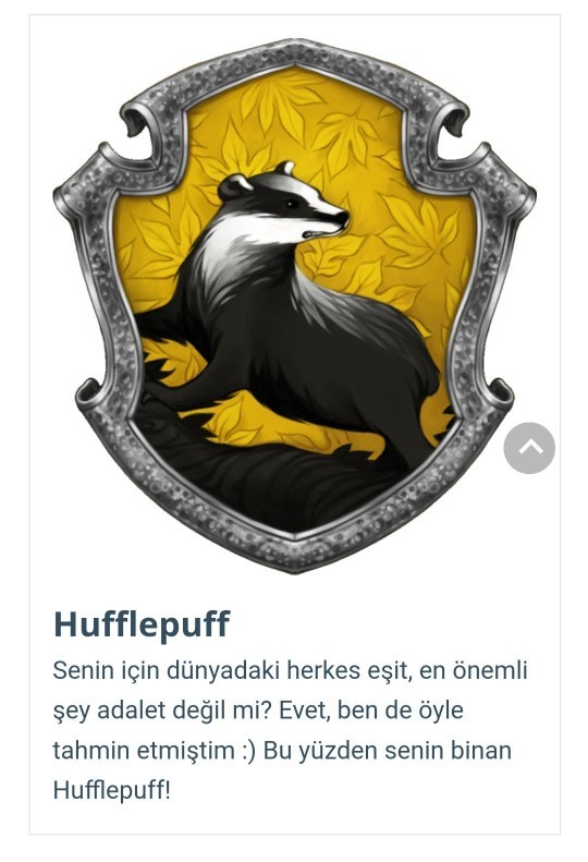 Tercihlerine göre hangi Hogwarts binasına aitsin?