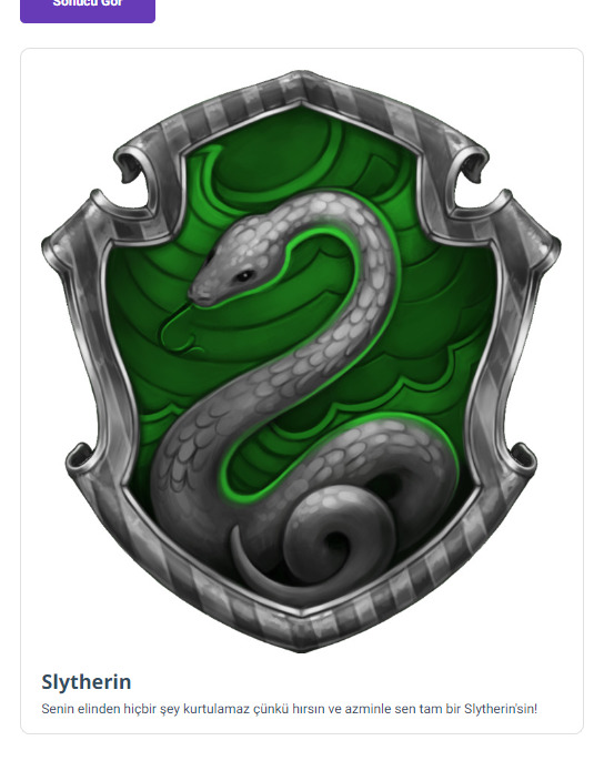 Tercihlerine göre hangi Hogwarts binasına aitsin?