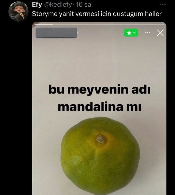 Yanıt alabilmek için attığınız en saçma hikaye neydi?