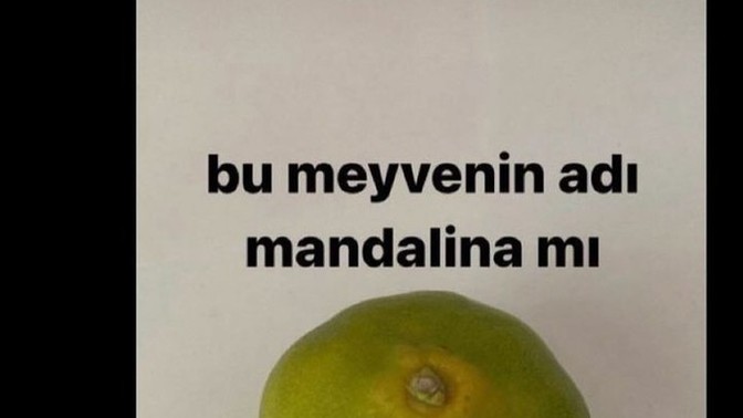 Yanıt alabilmek için attığınız en saçma hikaye neydi?