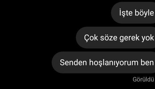 Sanaldan arkadaş olarak muhabbet ettiğiniz kişi, bir anda sizden hoşlandığını itiraf etse ne yapardınız?