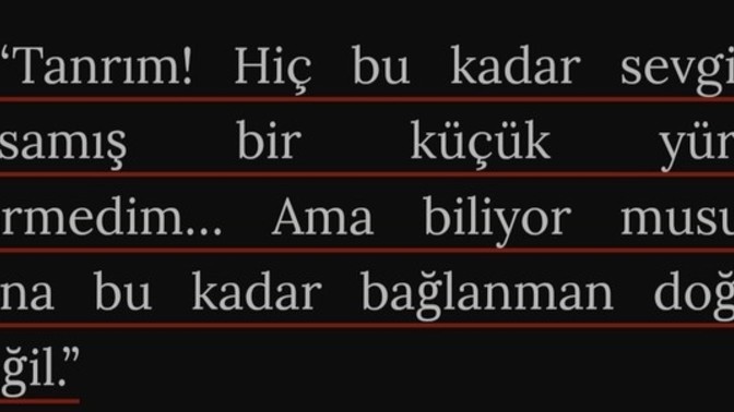 İnsana bağlanma sebebi sevgisizlik midir?