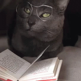 Bir kitap karakteriyle bir gün geçirme fırsatınız olsa, kiminle geçirmek isterdiniz?