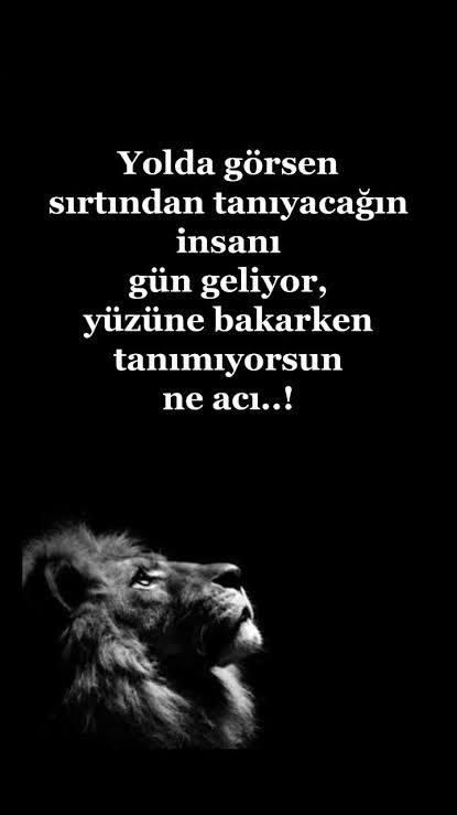 İnsanları tanıma özelliğinize 10 üzerinden kaç puan verirsiniz?