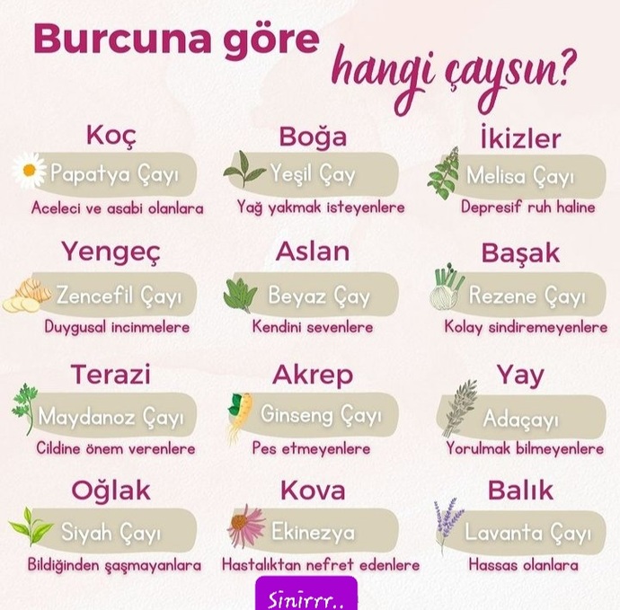 Yeşil çayım bitti bi ara bakkaldan almam lazım..😅