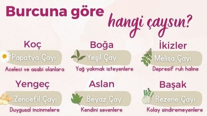 Burcuna göre hangi çaysın😏😅?
