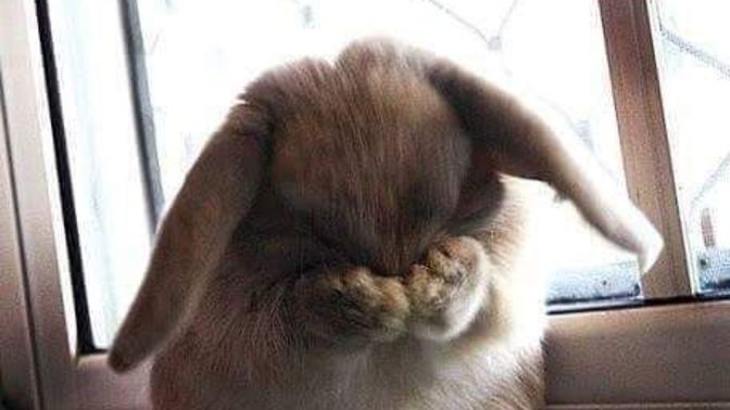En yakın arkadaşınız sandığınız arkadaşınızın, sizden daha yakın bir arkadaşı olduğunu görseniz ne yapardınız😂?