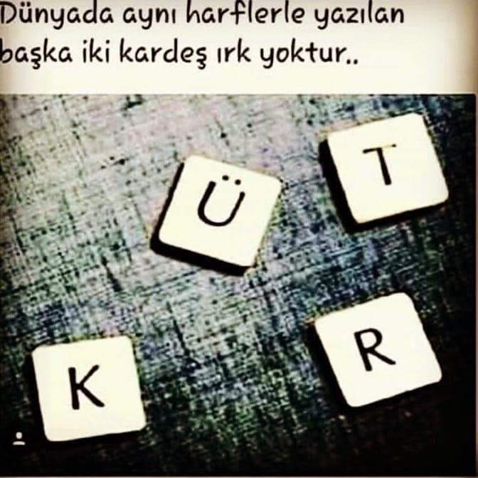 Kürt Türk sorunu?