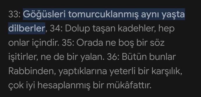 Şu ayeti yorumlayacak var mı?