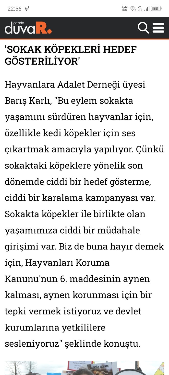 Siyasicilerin namluyu masum hayvanlara doğrultması hakkında ne düşünüyorsunuz?