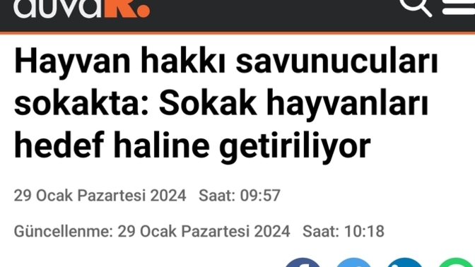 Siyasicilerin namluyu masum hayvanlara doğrultması hakkında ne düşünüyorsunuz?