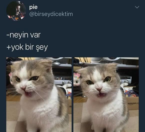 Sizi sinirlendirmek kolay mıdır?