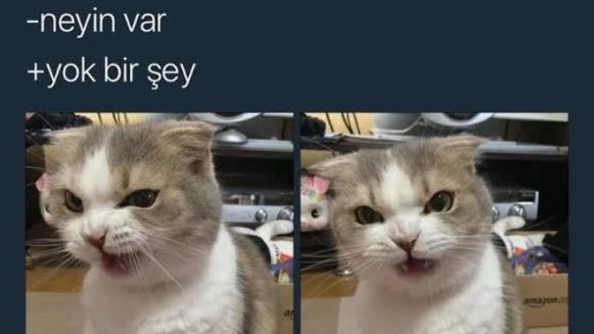 Sizi sinirlendirmek kolay mıdır?