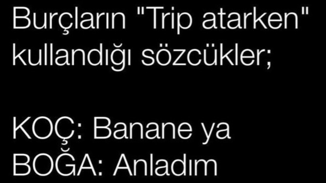 Burçların trip atarken kullandığı sözcükler neler?