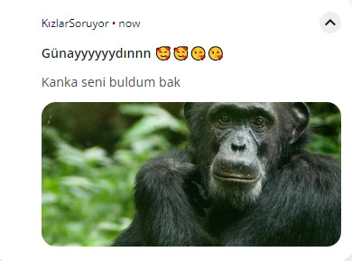 Size iltifat eden uygulamalarınız var mı?