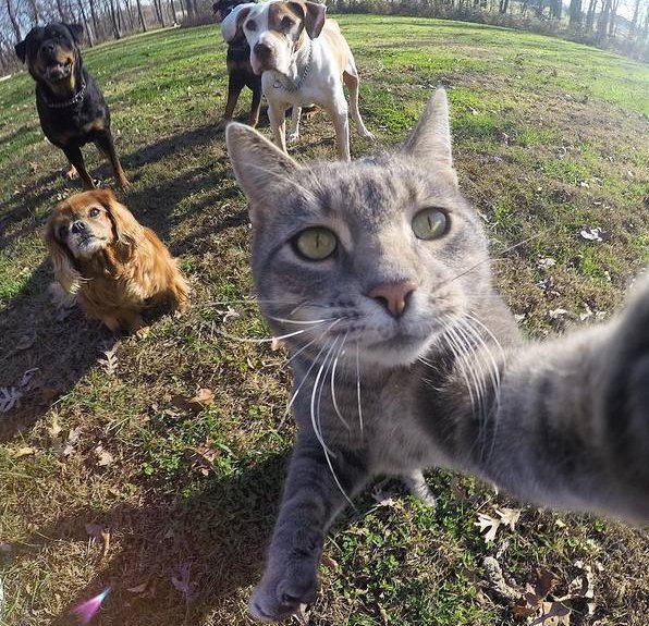 Fotoğraf çekerken güzel poz verir misiniz?
