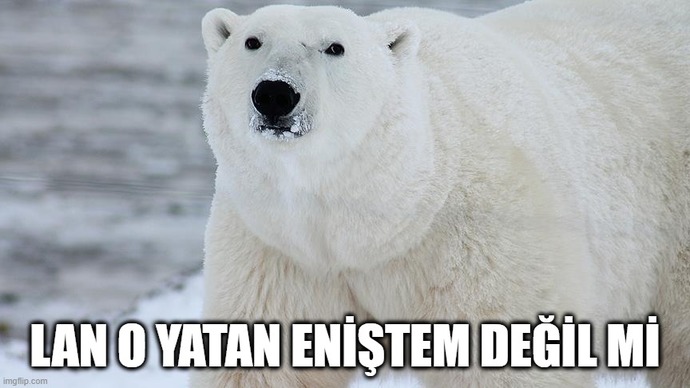 Şu an böyle bir yerde kiminle olmak isterdiniz?