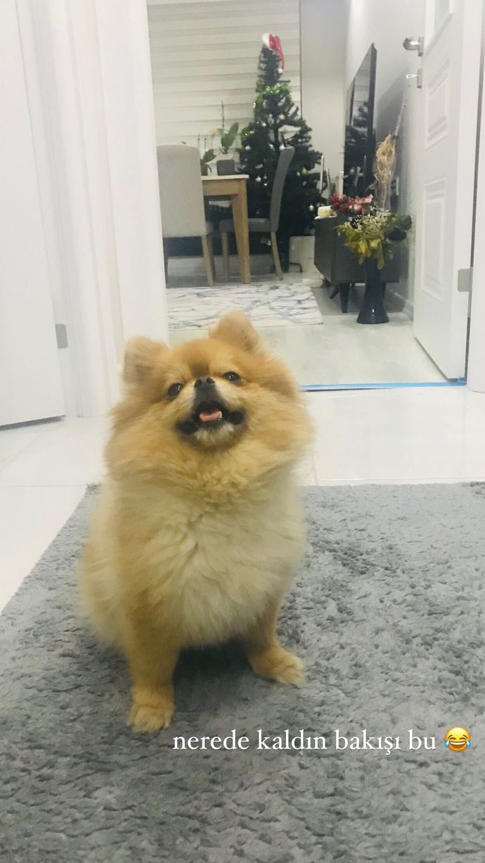 Sizin de gözlerinizin içine sevgi dolu bakan biri var mı😻?