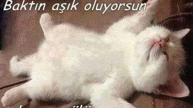 Aşık olmaktan korktunmu hiç?
