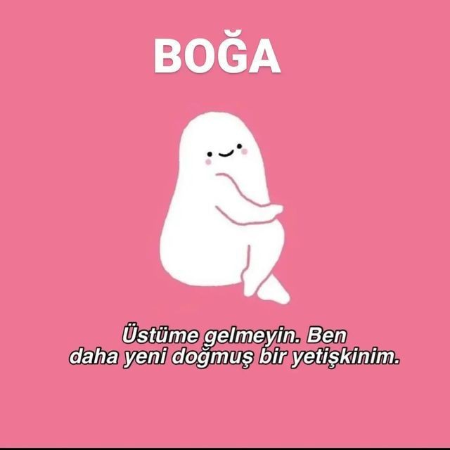 Y&uuml;kselenim boğa. &Uuml;st&uuml;me gelmeyin, ben daha yeni doğmuş bir yetişkinim 💅