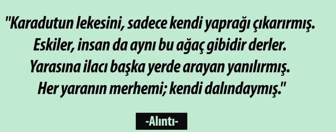 Her yaranın merhemi kendi dalından mı çıkar? Sizin yaranızın merhemi var mı?