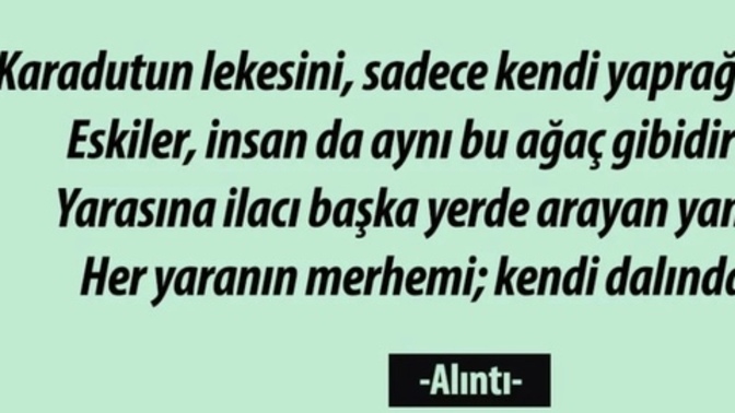Her yaranın merhemi kendi dalından mı çıkar? Sizin yaranızın merhemi var mı?