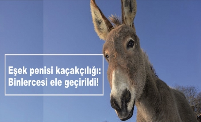 28 yaş için 26 cm penis iyi mi?