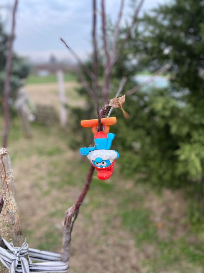 Bunu storye atıcam ne yazsam sizce?