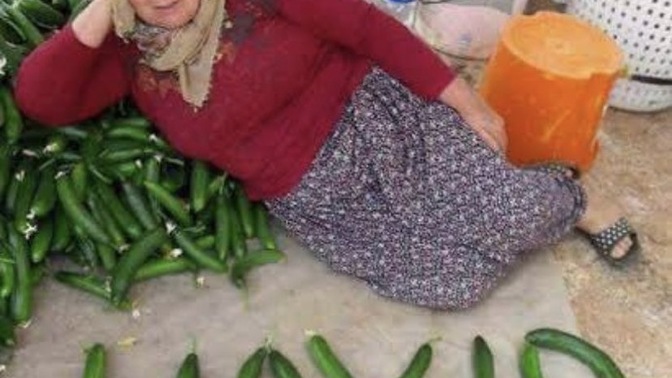 Hayır demeyi biliyor musunuz?