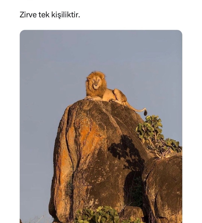 Neden hala yalnızsın?