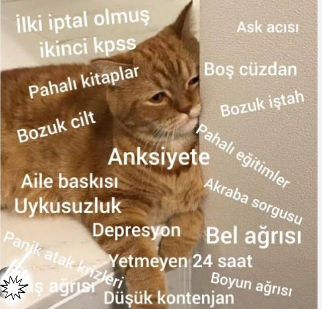 Yaşım 36, çok canım sıkılıyor. Ne önerirsiniz?