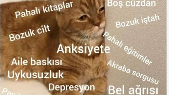 Yaşım 36, çok canım sıkılıyor. Ne önerirsiniz?