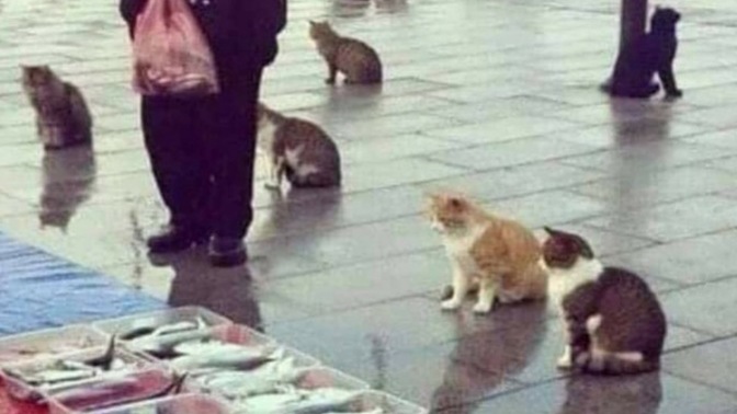 Gurur seviyen ne durumdadır bu aralar 😄?